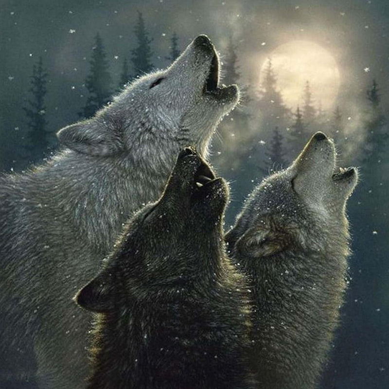 Trois Loups Hurlants Broderie Diamant