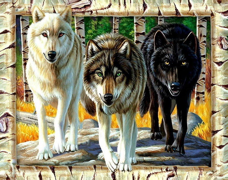Trois Loups Marchant Broderie Diamant