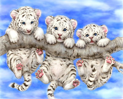 Trois Petits Tigres Blancs Suspendus aux Branches d'un Arbre Broderie Diamant