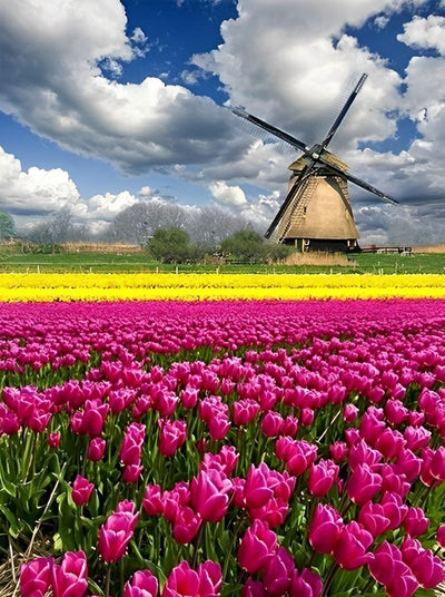 Tulipes et Paysage de Campagne Broderie Diamant
