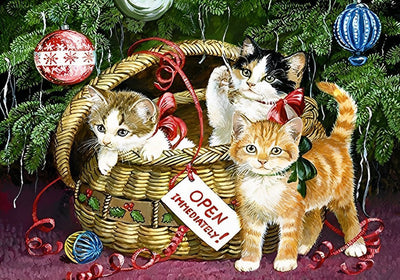 Un panier de Chatons Broderie Diamant