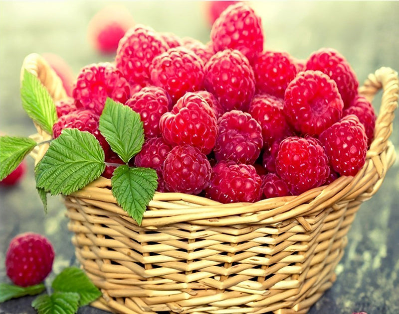 Une Corbeille de Framboises Broderie Diamant