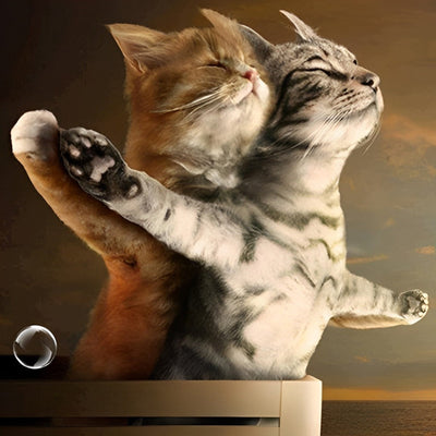 Version Chaton de Titanic Broderie Diamant