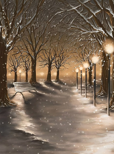 Vue de Rue dans la Neige Broderie Diamant